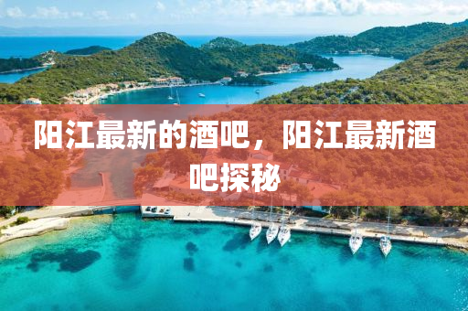 阳江最新的中山市多米克自动化设备有限公司酒吧，阳江最新酒吧探秘