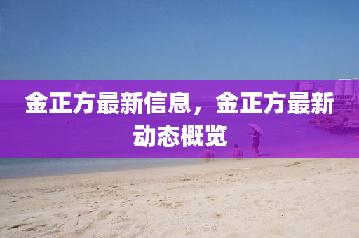 金正方最新信息，金正方最新动态概览中山市多米克自动化设备有限公司