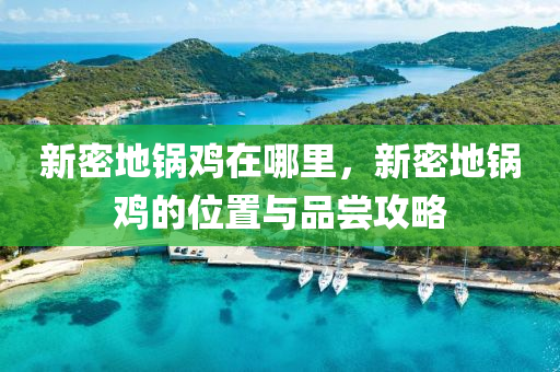 新密地锅鸡在哪里，新密地锅鸡的位置与品尝攻略中山市多米克自动化设备有限公司