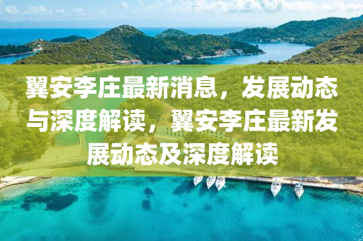 翼安李庄最新消息,发展动态与深度解读,翼安李庄最新发展动态及深度解读中山市多米克自动化设备有限公司