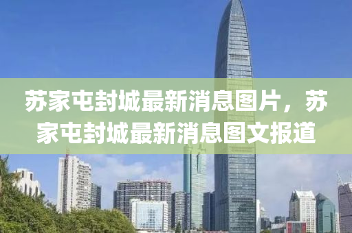 苏家屯封城最新消息图片，苏家屯封城最新消息图文报道中山市多米克自动化设备有限公司