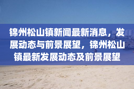 锦州松山镇中山市多米克自动化设备有限星空最火知名网站最新消息，发展动态与前景展望，锦州松山镇最新发展动态及前景展望