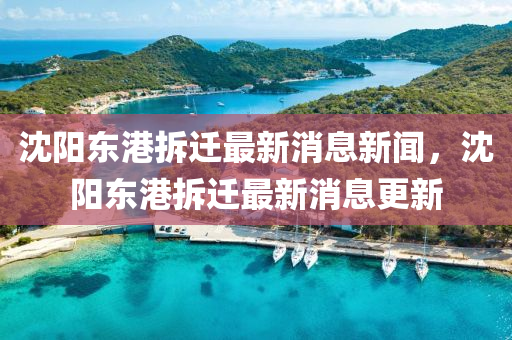 沈阳东港拆迁最新消息新闻，沈阳东港拆迁最新消息更新中山市多米克自动化设备有限公司