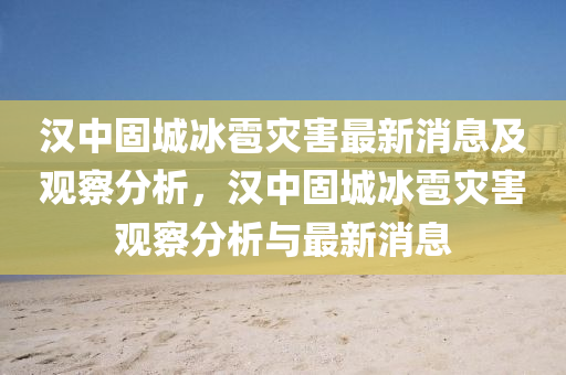 汉中固城冰雹中山市多米克自动化设备有限公司灾害最新消息及观察分析，汉中固城冰雹灾害观察分析与最新消息