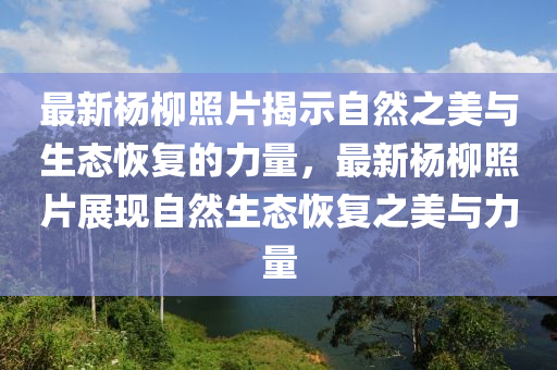 最新杨柳照片揭示自中山市多米克自动化设备有限公司然之美与生态恢复的力量，最新杨柳照片展现自然生态恢复之美与力量