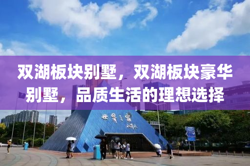 双湖板块别墅，双湖板块豪华别墅，品质生活的理想选择中山市多米克自动化设备有限公司