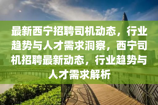 最新西宁招聘司机动态，行业趋势与人才需求洞察，西宁司机招聘最新动态，行业趋势与人才需求解析中山市多米克自动化设备有限公司