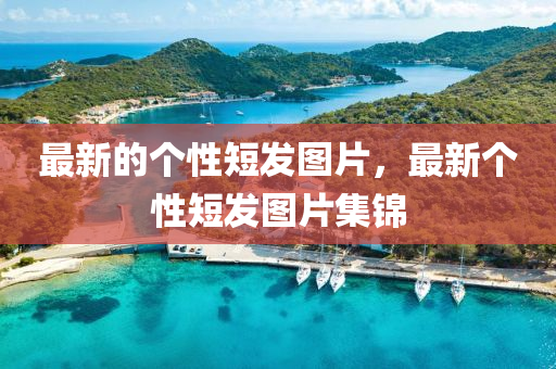 7777788888新版跑狗 管家婆,小心不实的假承诺雷-优化解答、解释与落实
