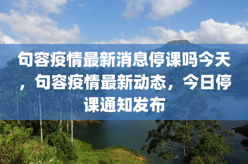 句容疫情最新消息停课吗今天,句容疫情最新动态,今日停课通知发布中山市多米克自动化设备有限公司