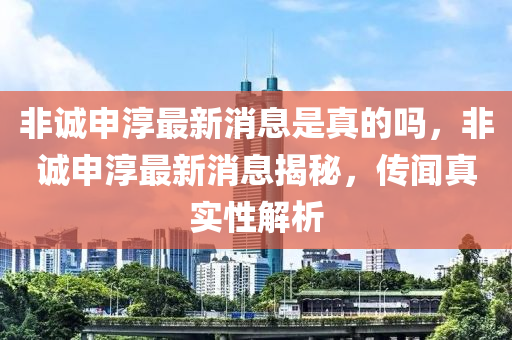 非诚申淳最新消息是真的吗，非诚申淳最新消息中山市多米克自动化设备有限公司揭秘，传闻真实性解析