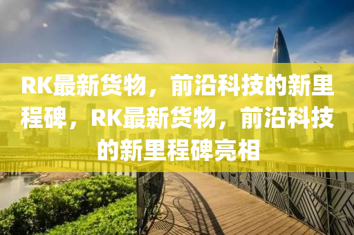 RK最新货物，前沿科技的新里程碑，RK最新货物，前沿科技的新里程碑亮相中山市多米克自动化设备有限公司