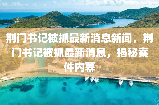 荆门书记被抓最新消息新闻，荆门书记被抓最新消息，揭秘案件内幕中山市多米克自动化设备有限公司