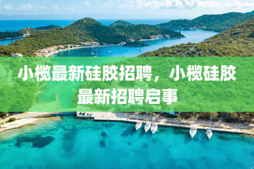 小榄最新硅胶招聘，小榄硅胶最新招聘启事中山市多米克自动化设备有限公司