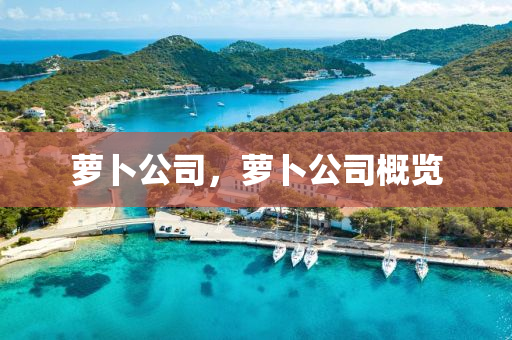 新澳和老澳两种彩票是一样吗与新澳门天天精准大全谜语Ai招财进宝,历史释义、专家解析解释与落实-远离虚假信息