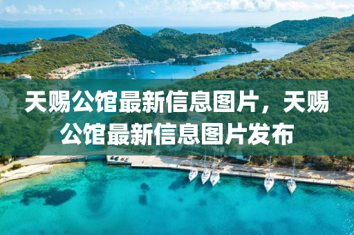 天赐中山市多米克自动化设备有限公司公馆最新信息图片，天赐公馆最新信息图片发布