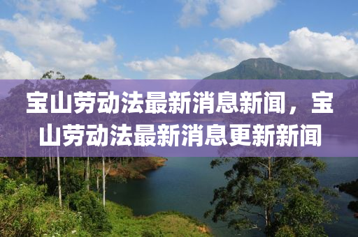 宝山劳动中山市多米克自动化设备有限公司法最新消息新闻，宝山劳动法最新消息更新新闻