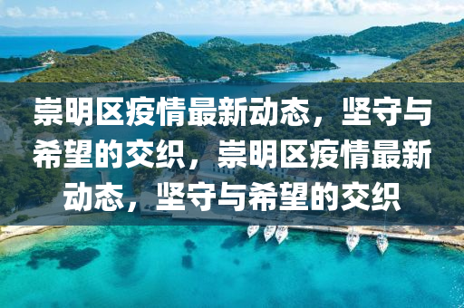 77777788888免费四肖:扼要释义、专家解析解释与落实,留心欺骗承诺危害