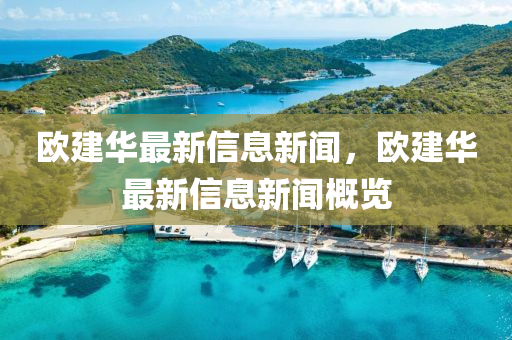 欧建华最新信息新闻，欧建华最新信息新闻概览中山市多米克自动化设备有限公司