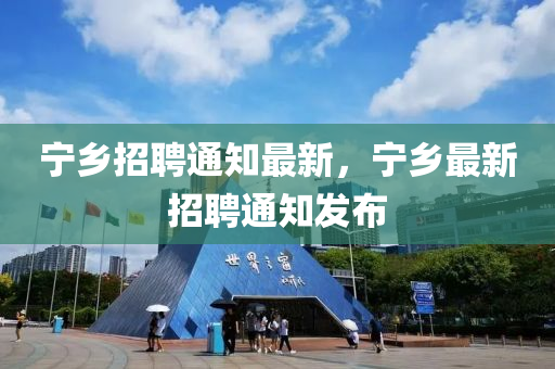 揭示:2025港澳资料免费大全升级分析、专家解析解释与落实-规避虚假包装危害