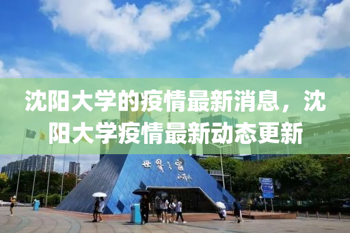 2005年新澳门及香港免费大全或7777788888四肖四码管家婆香港关键解答、专家解析解释与落实,远离虚假承诺沼