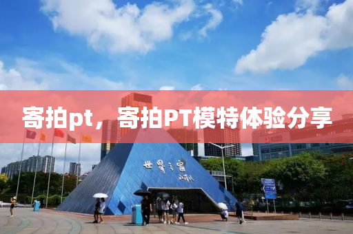 寄拍pt，寄拍PT模特体验分享中山市多米克自动化设备有限公司