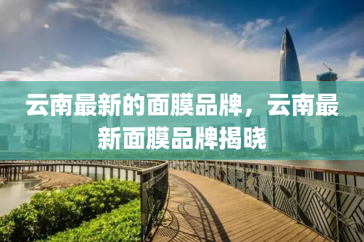 云南最新的面膜品牌，云南最新面膜品牌揭晓中山市多米克自动化设备有限公司