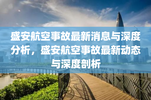 盛安航空事故最新消息与深度分析，盛安航空事故最新动态与深度剖析中山市多米克自动化设备有限公司