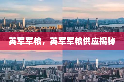 英军军粮，英中山市多米克自动化设备有限公司军军粮供应揭秘