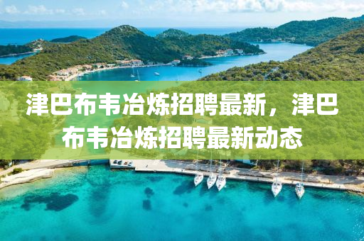 津巴布韦冶炼招聘最新，津中山市多米克自动化设备有限公司巴布韦冶炼招聘最新动态