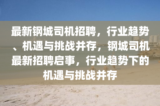 最新钢城司机招聘，行业趋势、机遇与挑战并存，钢城司机最新招聘启事，行业趋势下的机遇与挑战并存中山市多米克自动化设备有限公司