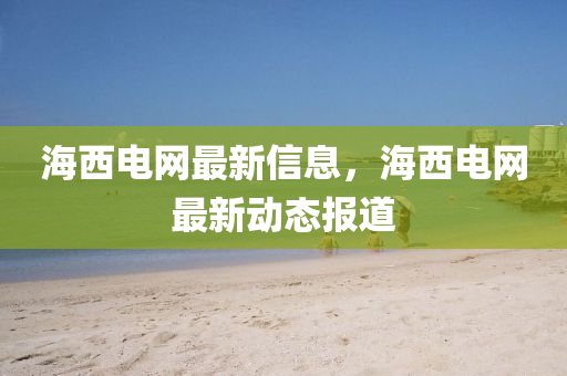 海西电网最新信息,海西电网最新动态报道中山市多米克自动化设备有限公司