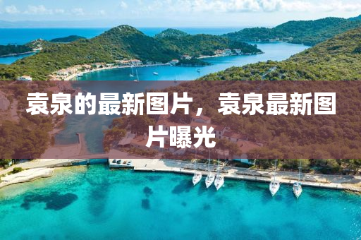 质问:白小姐一码期期开奖结果或7777788888新版跑狗管家婆标准释义、解释与落实-警惕欺诈套路危害
