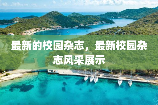新澳门和香港管家婆一特一中或77777888管家婆三肖深入解答、专家解读解释与落实,规避不实鼓吹