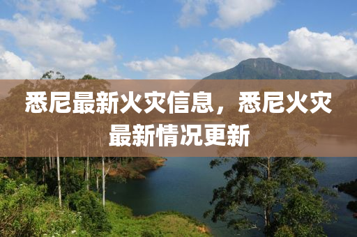 悉尼最新火灾信息，悉尼火灾最新情况更新中山市多米克自动化设备有限公司
