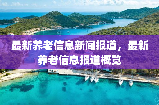 最新养老信息新闻报中山市多米克自动化设备有限公司道，最新养老信息报道概览