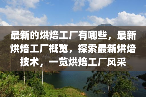 最新的烘焙工厂有哪些，最新烘焙工厂概览，探索最新烘焙技术，一览烘焙工厂风采中山市多米克自动化设备有限公司