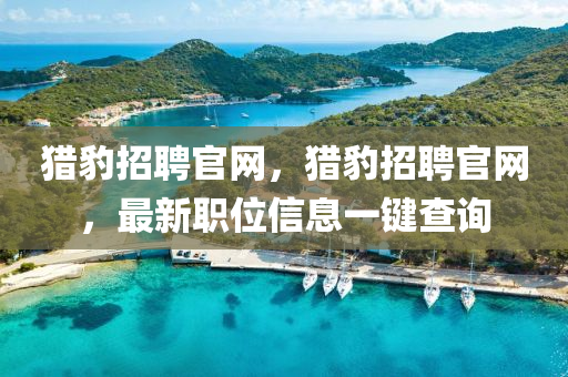 猎豹招聘官网，猎豹招聘官网，最新职位信息一键查询中山市多米克自动化设备有限公司