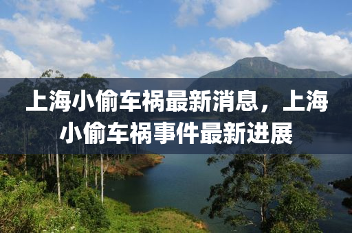 上海小偷车祸最新消息，上海小偷车祸事件最中山市多米克自动化设备有限公司新进展