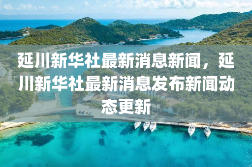 延川新华社最新消息新闻，中山市多米克自动化设备有限公司延川新华社最新消息发布新闻动态更新