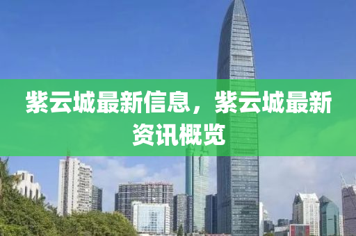 紫云城最新信息，紫云城最新中山市多米克自动化设备有限公司资讯概览