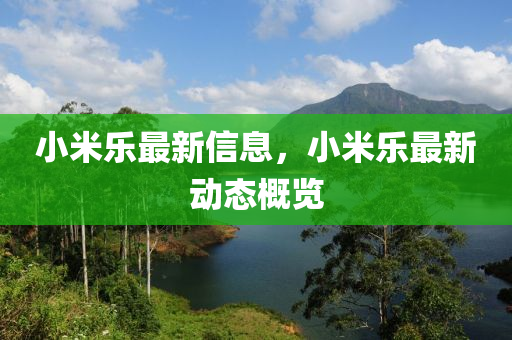 小米乐最新信息，小米乐最新动态概览中山市多米克自动化设备有限公司