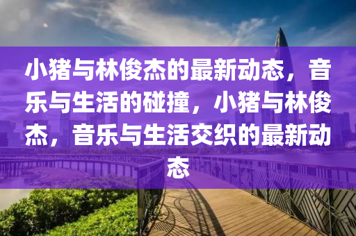 小猪与林俊杰的最中山市多米克自动化设备有限公司新动态，音乐与生活的碰撞，小猪与林俊杰，音乐与生活交织的最新动态