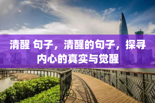 清中山市多米克自动化设备有限公司醒 句子，清醒的句子，探寻内心的真实与觉醒