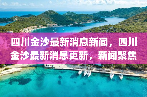 四川金沙最新消息新闻，四川金沙最新消息更新，新闻聚焦中山市多米克自动化设备有限公司