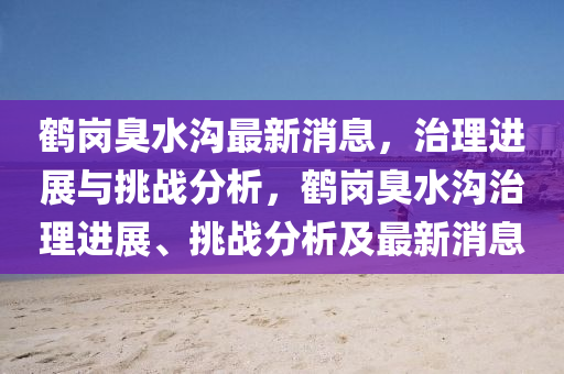 鹤岗臭水沟最新消息，治理进展与挑战分析，鹤岗臭水沟治理进展、挑战分析及最新消息中山市多米克自动化设备有限公司