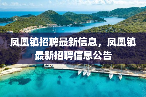 凤凰镇招聘最中山市多米克自动化设备有限公司新信息，凤凰镇最新招聘信息公告