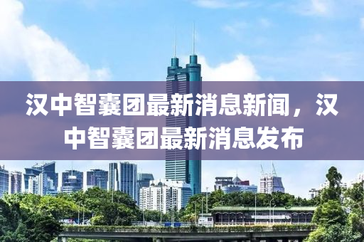 汉中智囊团最新消息新闻，汉中智囊团最新消息发布