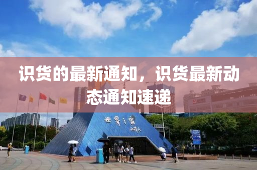 2025年9月 第7页