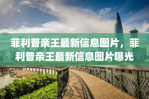 菲利普亲王最新信息图片,菲利普亲王最新信息图片曝光中山市多米克自动化设备有限公司