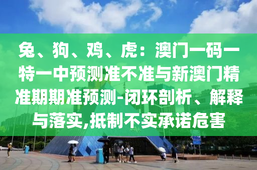 兔、狗、鸡、虎：澳门一码一特一中预测准不准与新澳门精准期期准预测-闭环剖析、解释与落实,抵制不实承诺危害